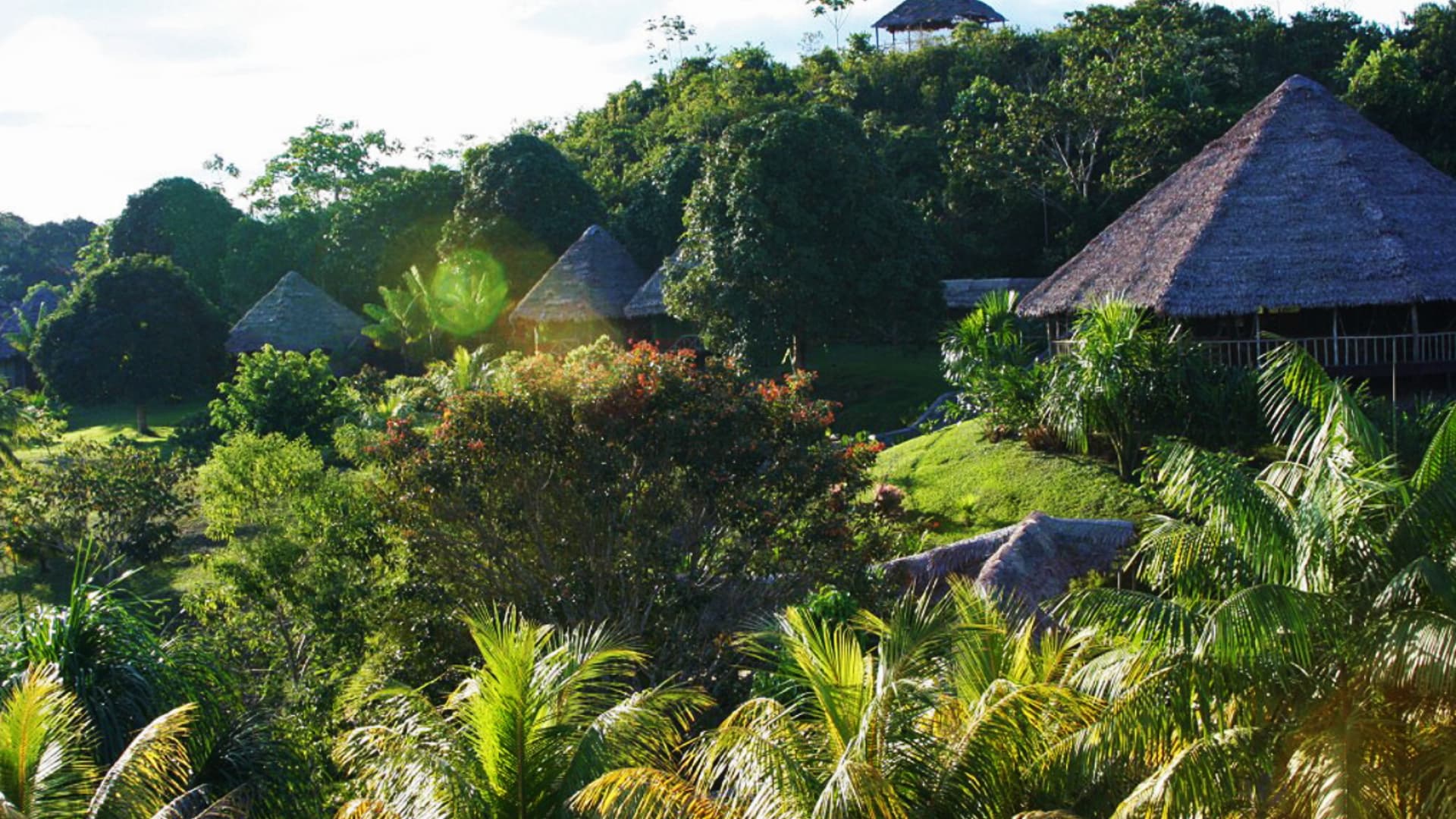 Jungle tour Iquitos 4D & 3N